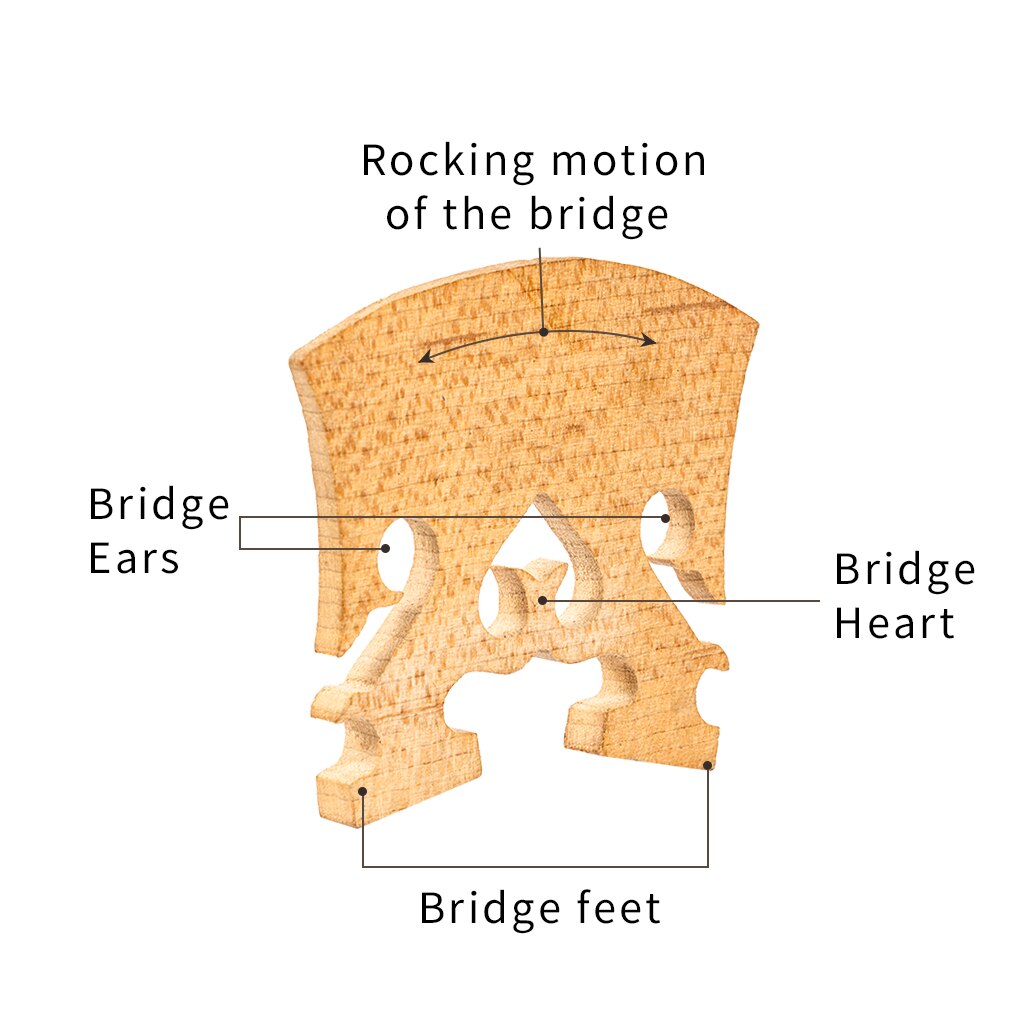 Naomi 1Pc Standaard Maple Brug 4/4 3/4 1/2 1/4 1/8 Viool Bridge Klassieke Barokke Stijl Brug