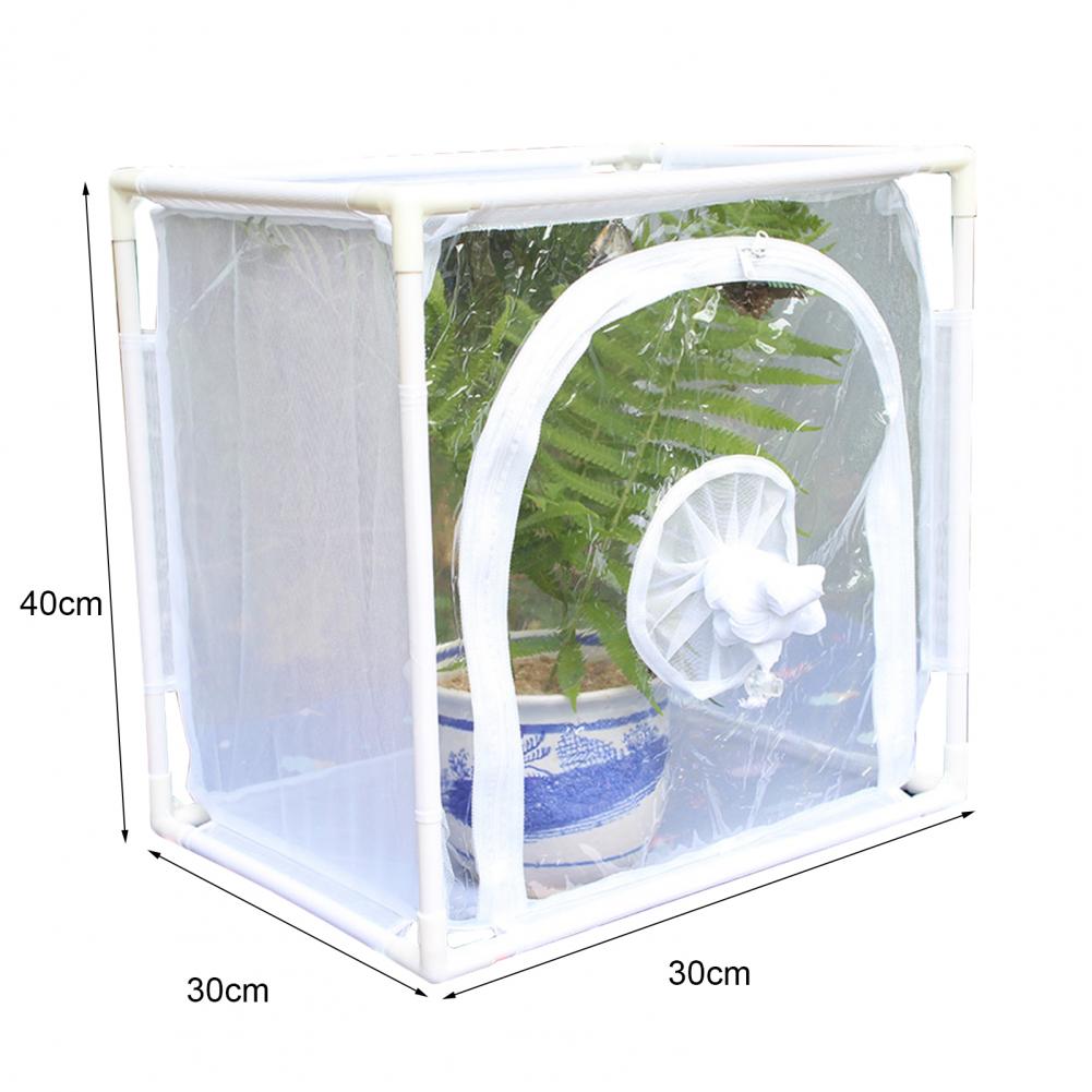 insect rearing cage plant cage Mesh Cage Wear Resistant Collapsible Plant Insect Small Animal Observation PVC stent Net Cage