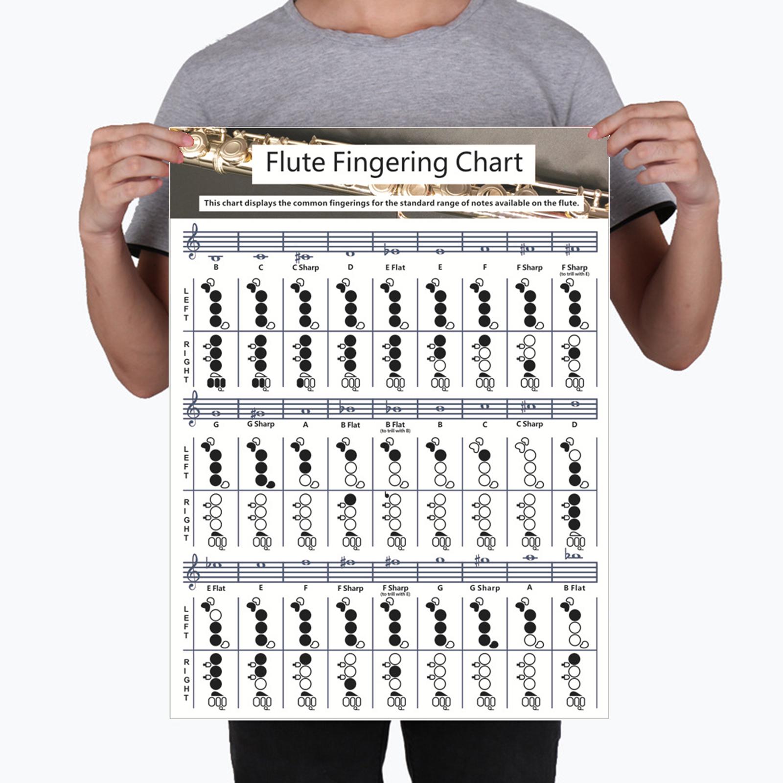 Flute Chart Educational Music Chords Poster for Starter Learning Kids