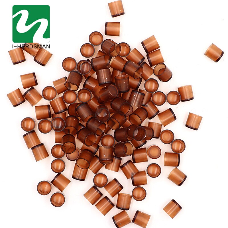 Boîte de levage pour abeilles, 240 pièces, cellules reine brune, gobelet en plastique, outils pour apiculteur