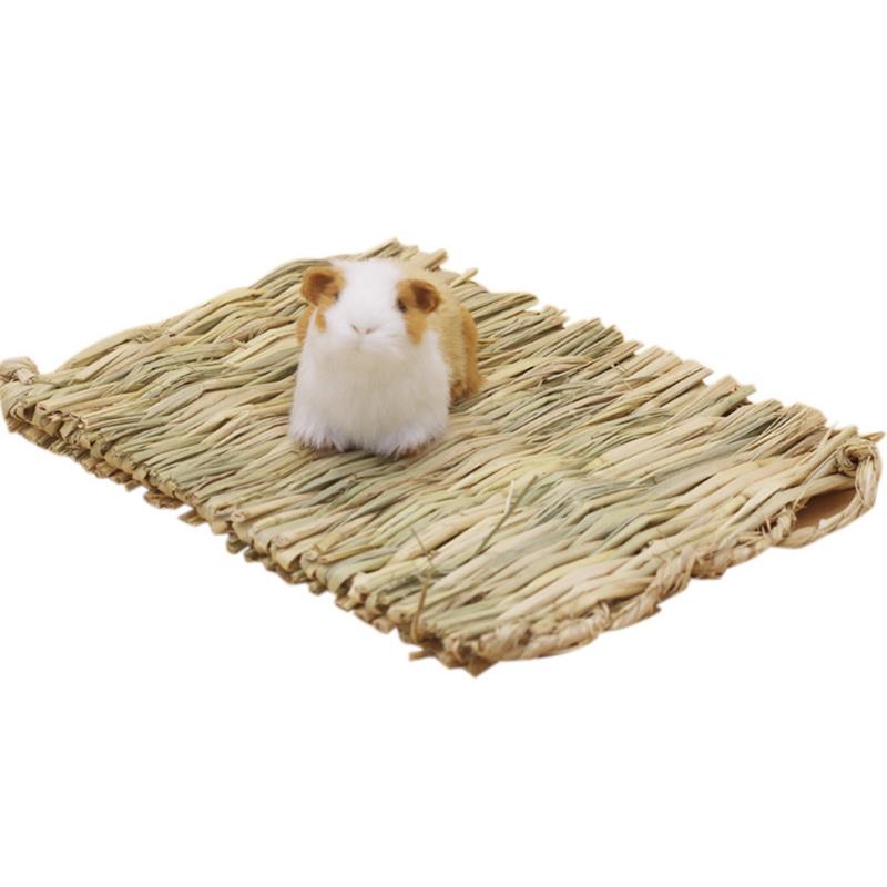 2 Stuks Hamster Foerageer Speelgoed Voedsel Speelgoed Konijnensnoepjes Voor Konijnen Speelgoed Kauwen Speelgoed Voor Kleine Dieren Hamster Speelgoed Hout Papegaai Chinchilla