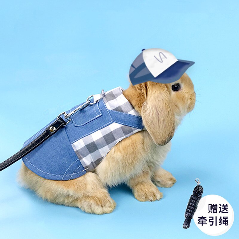 Vêtements en Denim pour petits animaux, veste, manteau, harnais, gilet, sac, chapeau, ensemble pour furet, lapin, Hamster, fournitures pour petits animaux de compagnie