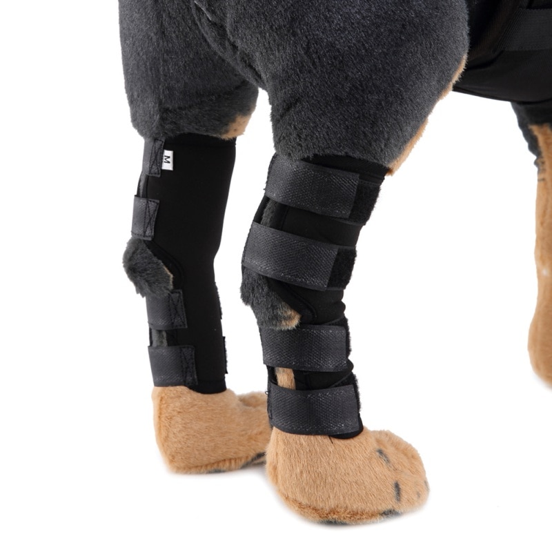 1Pair Pet Dog Cat Knee Joint Leg Protector Calf Brace Support For Avoiding Injury