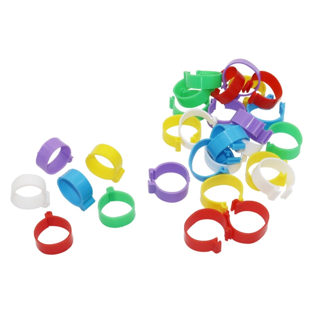 60 PCS Kip Eend Turkije Gans 2.5cm Clip Ring Kwartel Voet Ringen Gevogelte Carry Supplies 6 Verschillende Kleuren
