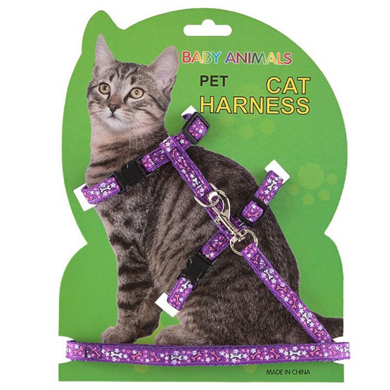 Harnas voor een kat, huisdier, kattenhalsband, harnas en riem, accessoires, verstelbaar kattentuig, tractieharnas, riem, kittenbenodigdheden, 4 kleuren: Oranje kattenriem