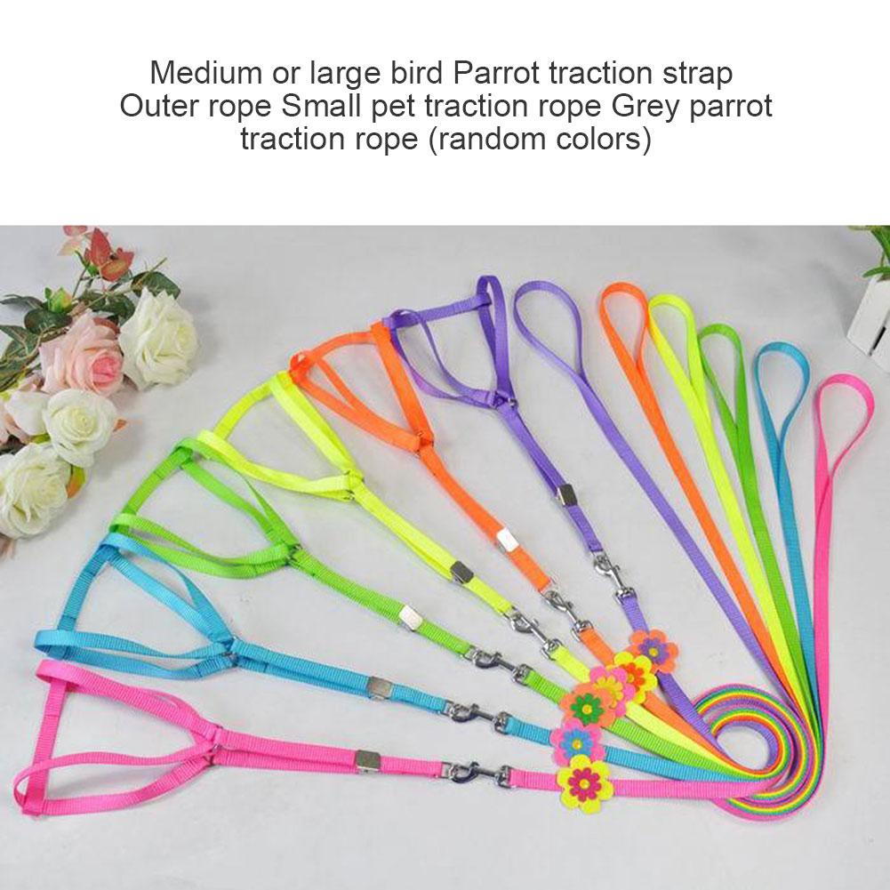 Parrot Harness Leash Flying Anti-bite Traction Rope Bird Training Outdoor Carrying for Medium Large Parrots Birds Pets Random