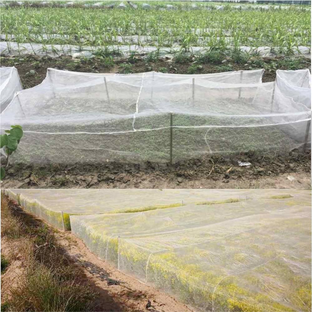 Garden Insect Neting Bird Net Mist Net Protection Net Greenhouse Net Vegetable Net Prevention Birds Chicken Dog Cat Animal Dama