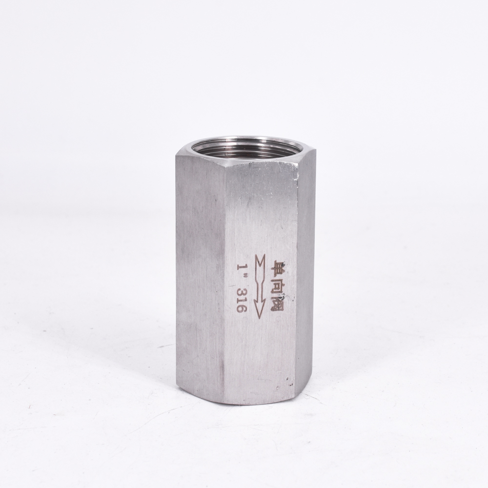 1/8" 1/4" 3/8" 1/2" 3/4" 1" BSP Female Hex One Way Check Valve Non-Return Inline 304 316 Stainless Steel