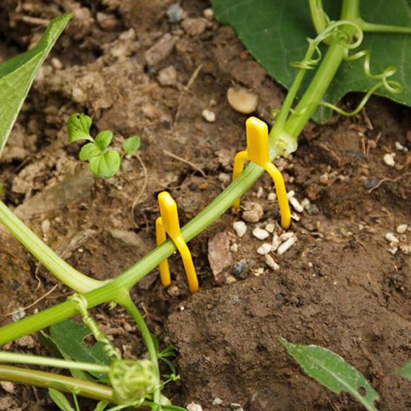100Pcs Plastic Plant Clips Uitlopers Bevestiging Bevestiging Armatuur Klem Aardbei Vork Landbouw Clip Tuingereedschap