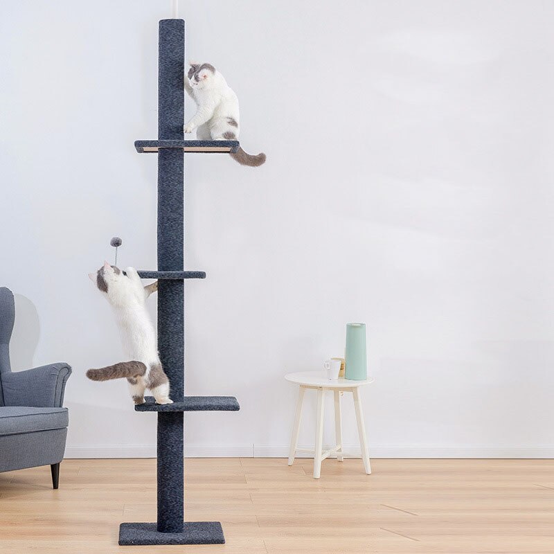 Cat climbing frame large Tongtian pillar cat tree cat grasping pillar cat jumping platform cat grasping board Four Seasons cat