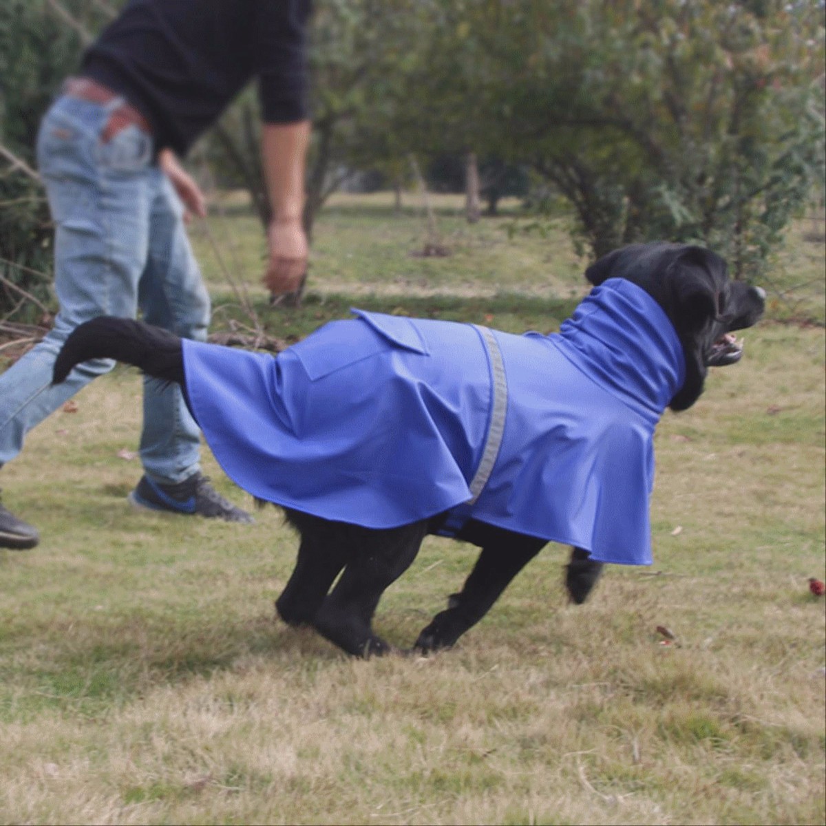 Hond Regenjas Waterdicht Hond Past Regen Cape Pet Overalls Puppy Kat Regenjas Mantel Kostuums Kleding Overalls Regen Mantel