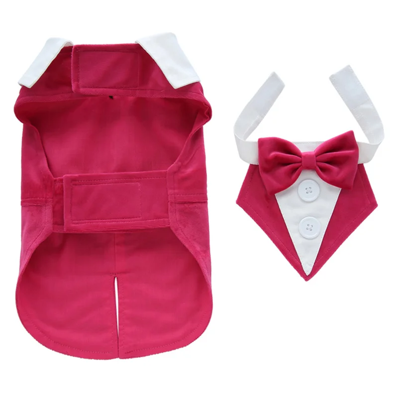 Disfraz de mascota masculino de lujo para perros pequeños, traje de frac para cachorros de , vestido para Chihuahua, mascotas malaltesas, ropa de boda: XL / Oro