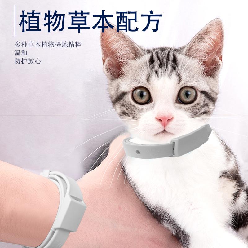Pet Flea And Tick Collar For Dogs Cats Up To 8 Month Flea Tick Prevention Collar Anti-mosquito & Insect Repellent Puppy Supplies: WHITE