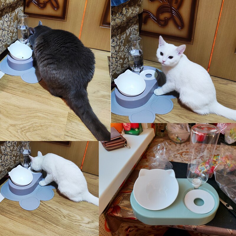 2-In-1 Huisdier Kat Kom Water Dispenser Automatische Water Opslag Kattenvoer Kom Water Container Kitten Drinken honden Feeder Waterer