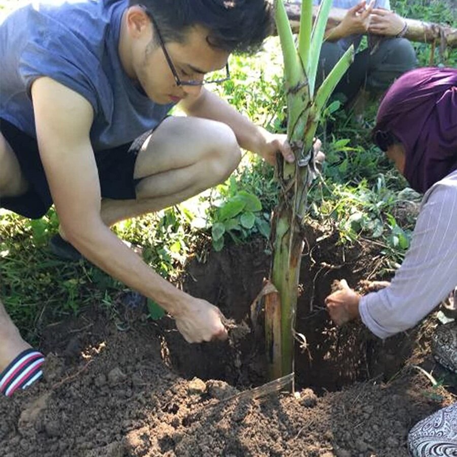 Garden Hand Bulb Planter Tool with Depth Mark Automatic Transplanter Soil Release Planting Tool for Digging Refilling Hole Seed