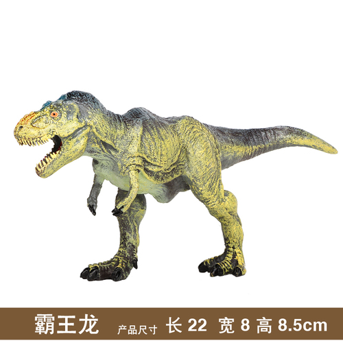 Dinosaurus Speelgoed Model Set Simulatie Dier Figuur Kinderen Plastic Grote Jurassic Tyrannosaurus Pterosaur Jongen Figuur Model: DFTTRE 011