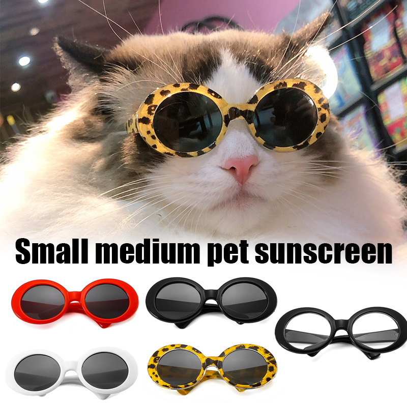Kat Bril Cool Huisdier Kleine Hond Mode Ronde Bril Pet Product Voor Kleine Hond Kat Zonnebril Voor Fotografie Pet Accessoires