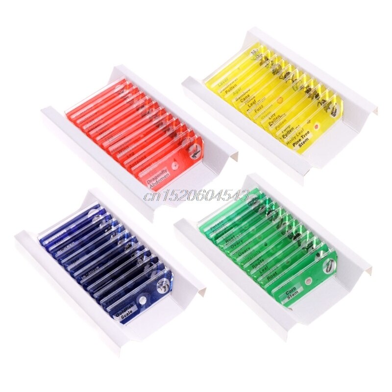 12 Pcs Prepared Microscope Slides Set Specimen For Student Basic Biology Education R09 Whosale