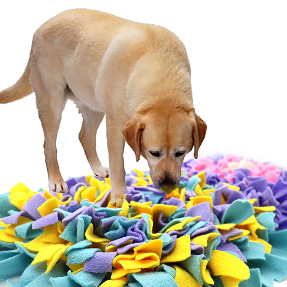 Hund sniffar snuffar träningsmatta födosök mat långsam matningsdyna husdjursfilt