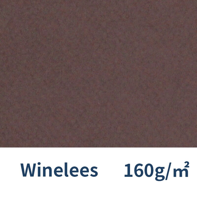 France Canson Soft Pastel Paper 4K Mi-Teintes 12Pcs Oil Pastels Painting Paper Chalk Crayon Sketch Color Pencils: 503