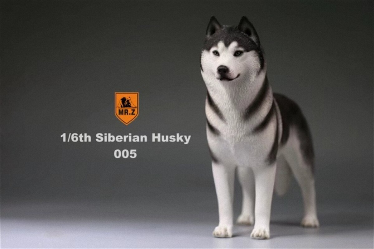 Herr.Z Studio 1:6 Simulation sibirisch heiser Hund Haustier Huskie Figur Ebene Dekor Modell Spielzeug Art Harz Ornamente Hund Hand zu tun: 005