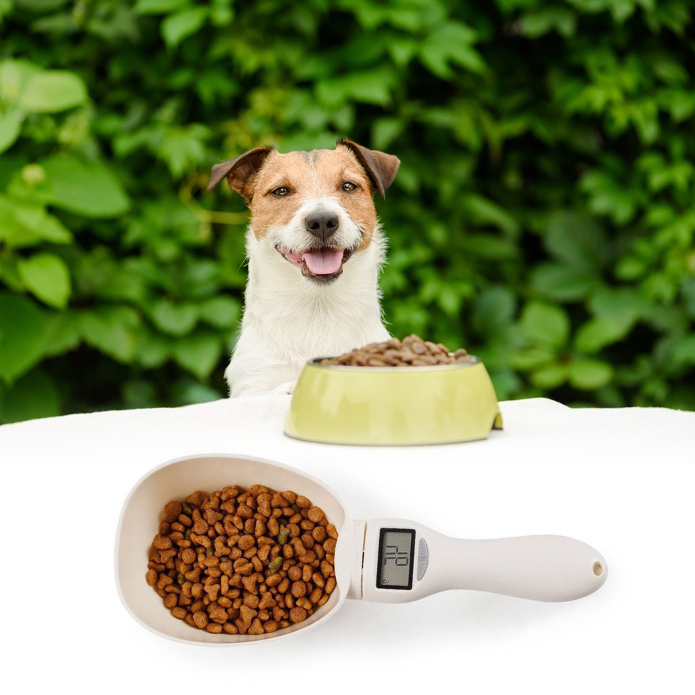 Báscula de comida para mascotas, herramienta de medición electrónica, tazón de alimentación para perros y gatos, cuchara medidora, báscula de cocina con pantalla Digital, 250ml