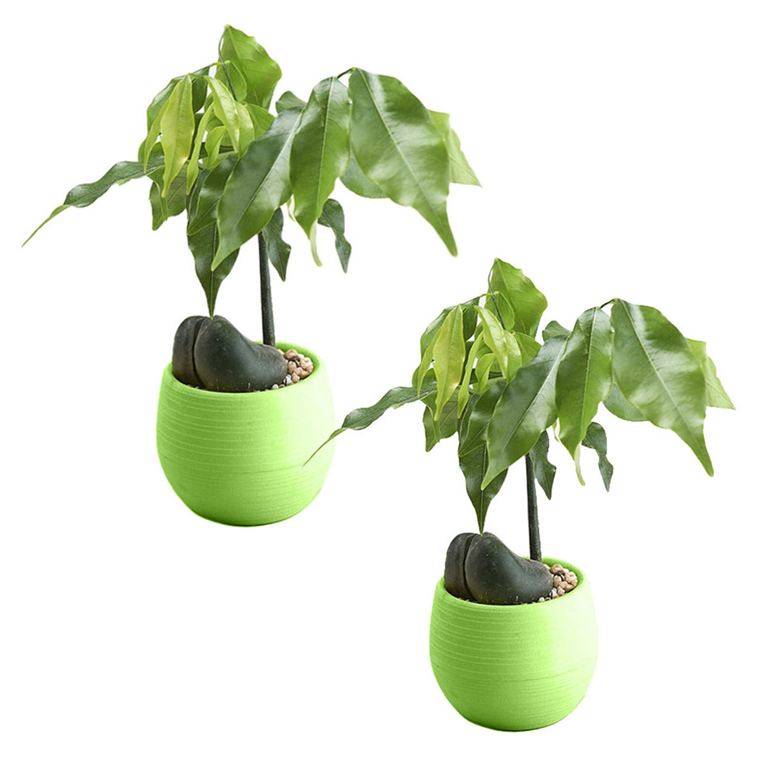 Watering Planter Handmade 2 Layer Self Watering Plant Flower Pot With Water Container Round Flowerpot Home Garden Decor: B