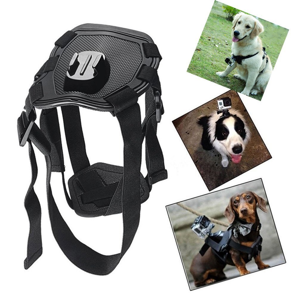 Dog Pet Chest Strap Belt Mount for Sony RX0 II X3000 X1000 AS300 AS200 AS100 AS50 AS30 AS20 AS15 AS10 AZ1 mini Action Cam