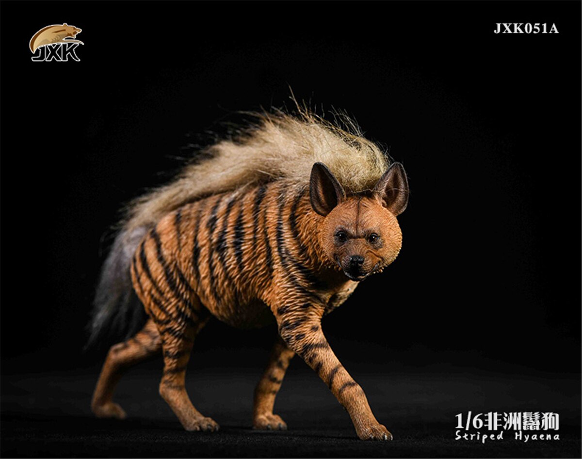 JXK 1:6 Scale Africa Striped Hyaena Figure Dog Hyaenidae Animal Collector Toy Resin Decoration: JXK051A