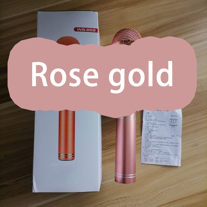 Bluetooth Function Bluetooth Microphones: Pink