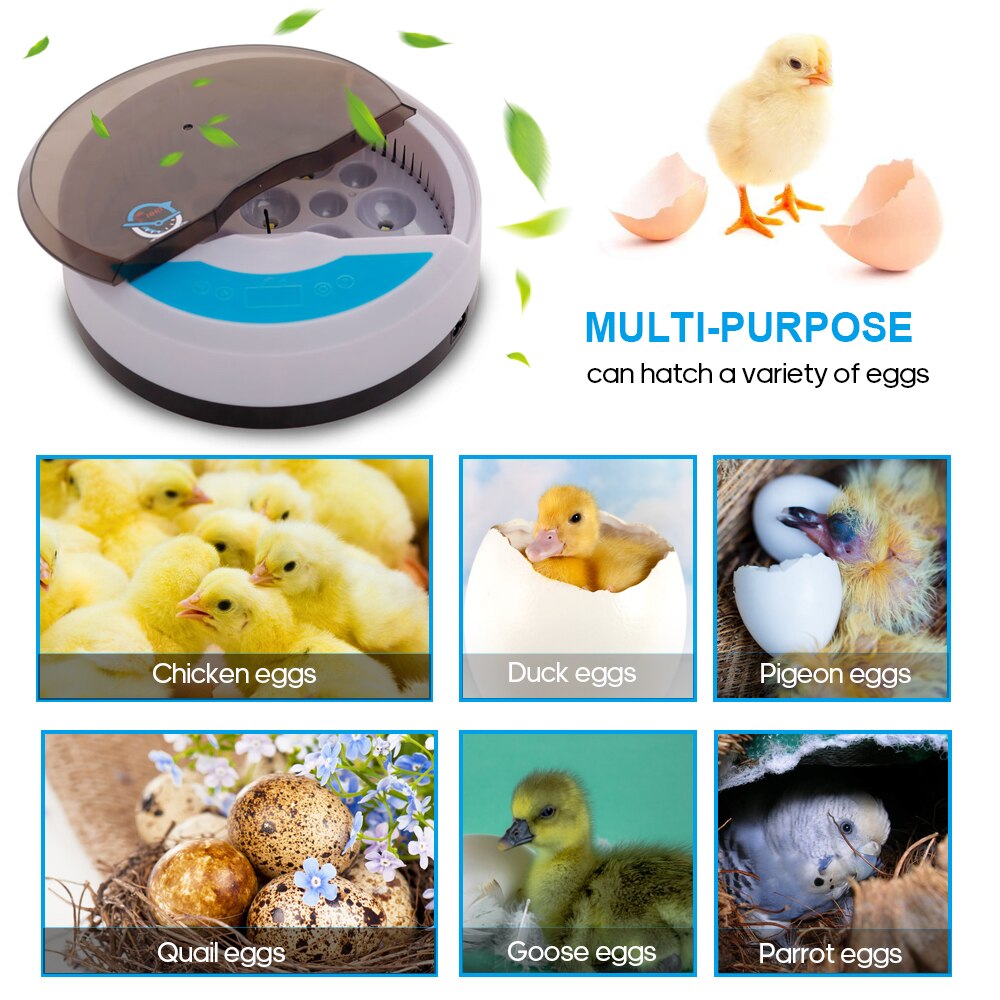 Digital Egg Incubator Hold 9 Eggs Automatic Poultry Hatcher Machine for Chickens Ducks Birds Quail Eggs