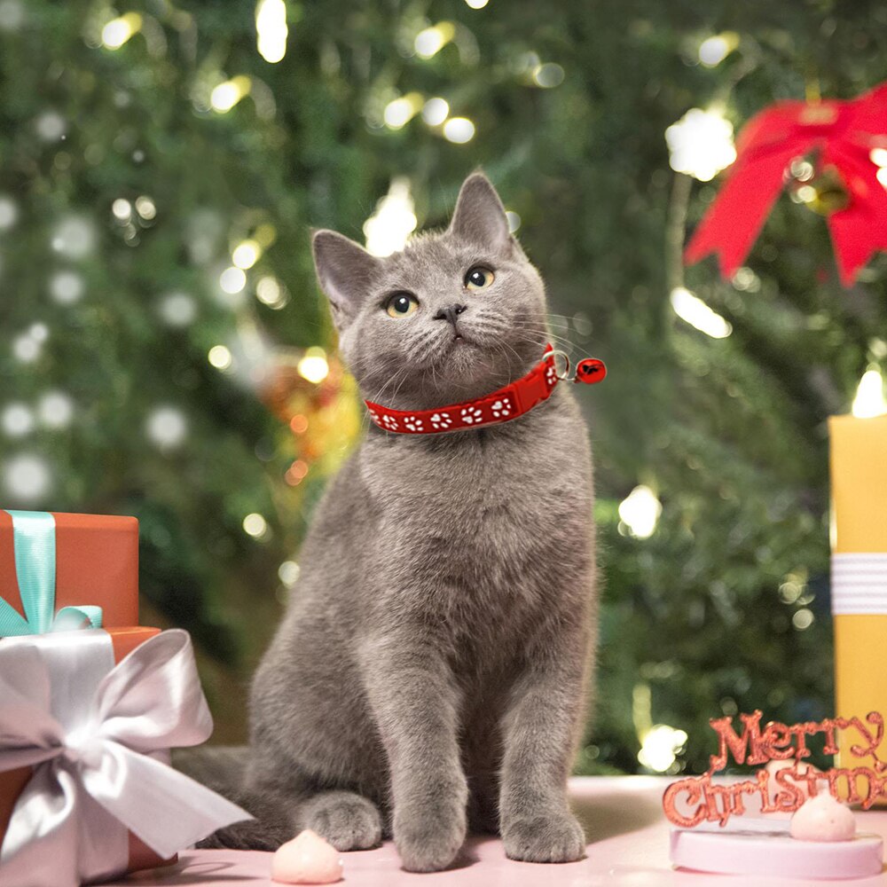 Obroża dla psa regulowana smycz dla kota odblaskowy dzwonek dla zwierząt domowych kołnierz odpowiedni dla kotów i dla małych psów akcesoria robić smyczy