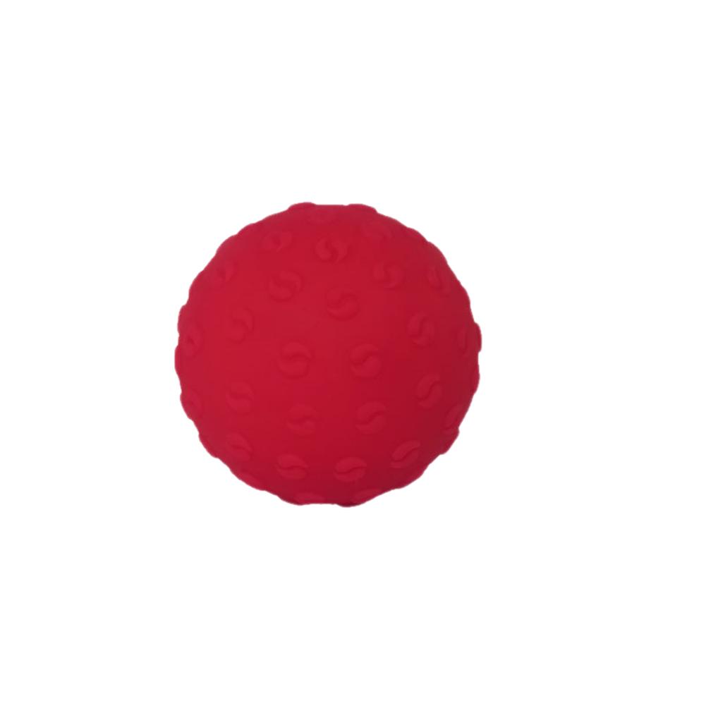 Balles de Fitness Crossfit Yoga Pilates Massage des pieds douleur musculaire soulagement du Stress Point de déclenchement balle réflexe hérisson
