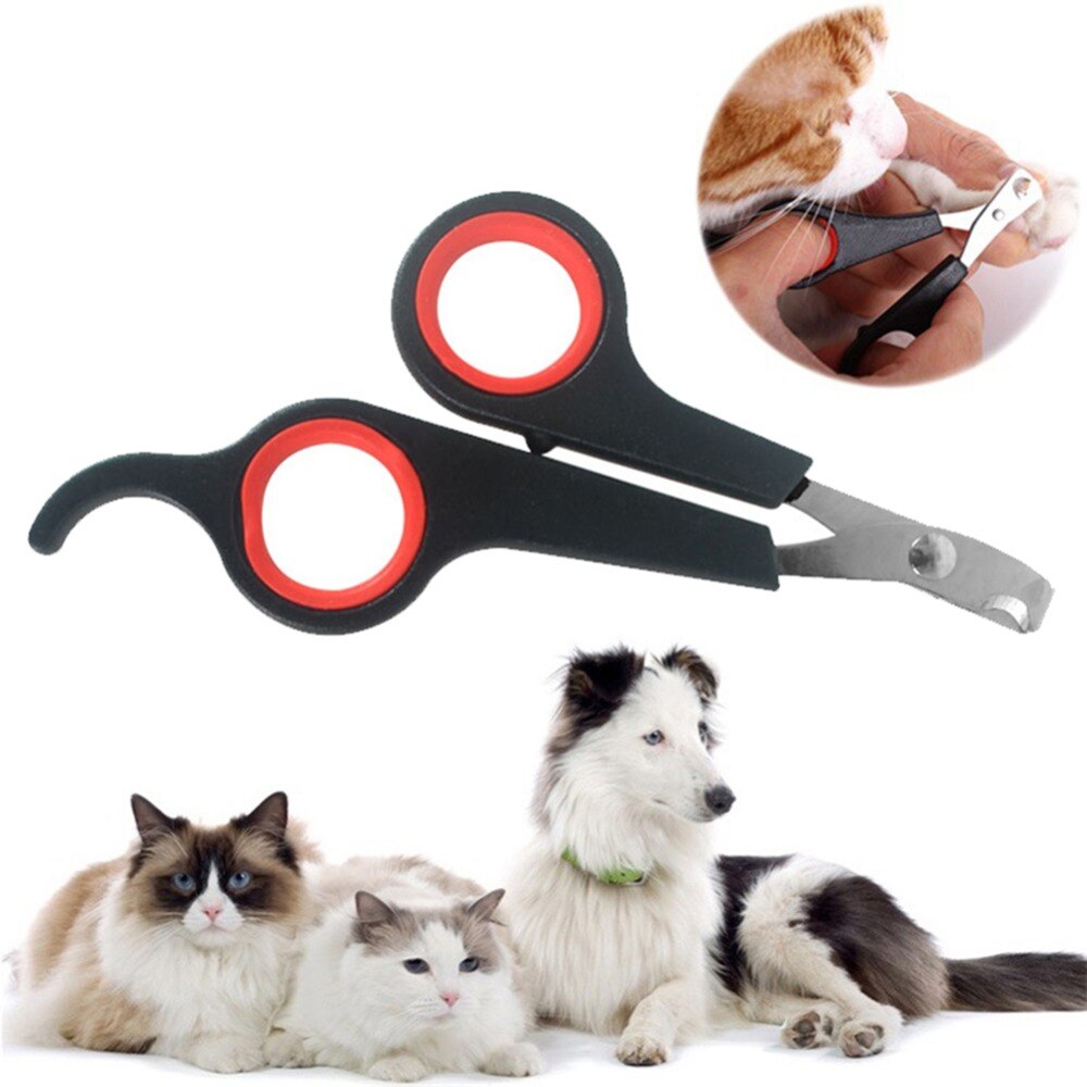 Kat Cutter Professionele Huisdier Kat Hond Nagelknipper Cutte... – Grandado