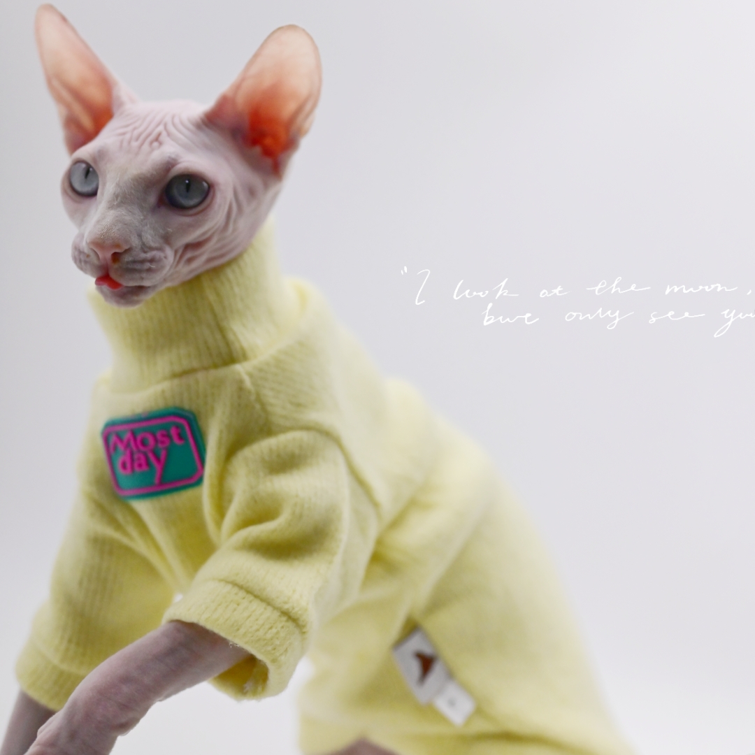 DUOMASUMI Devon Sweater Sphynx Cat Clothes Kitty Soft and Comfort Winter Hairless Cat Clothes