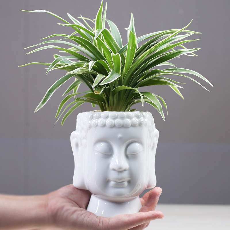 Zen Succulent Groene Bloempot Zen Keramische Groene Plant Pot Thuis Bureau Decoratie Boeddhabeeld Bloem Bekken