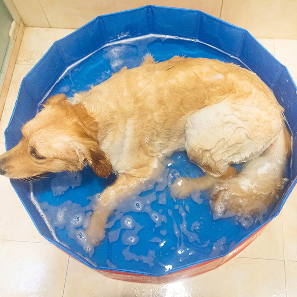 Multi-Use PVC Dog Bath Pool Pet Air Inflation Folding Swimming Pool Bathtub Dogs Pet Bathing Washer Tub Tough Portable Bath Tubs