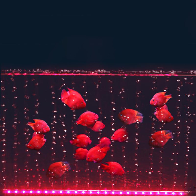 Bubble Aquarium Light Fish Tank Submersible Light EU US Plug Aquatic Air Bubble Oxygenation Lamp LED Aquarium Light
