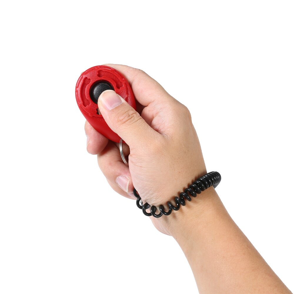 4 teile/satz Hund Ausbildung Clicker mit Elastische Spirale Handgelenk Band für Hund Spielen Spielzeug Einstellbar Handgelenk Gurt Klang Schlüssel Kette