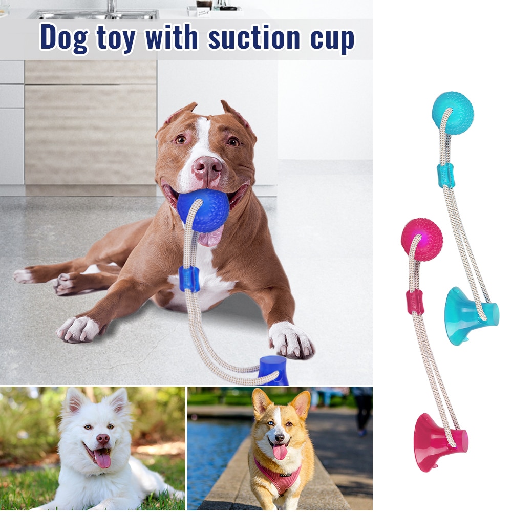 Multifunctioneel speelgoed voor honden met een kiesbijt, rubberen kauwbal, veilige reiniging van tanden, elastische tpr, zachte puppy, zuignap, bijtspeeltje voor honden