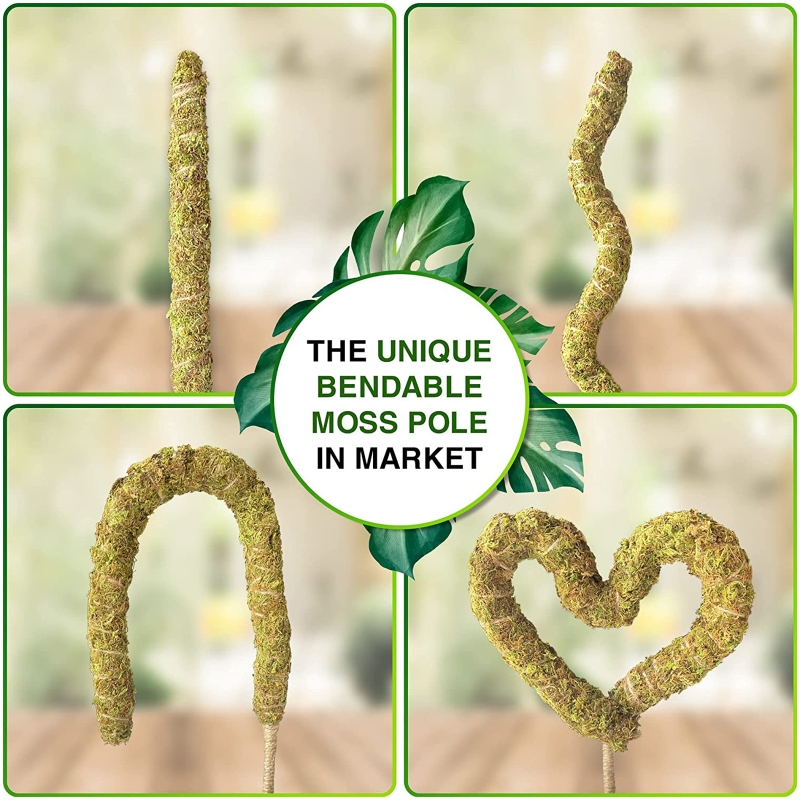 DIY Plant Shape Climbing Pole Moss Pole Coir Totem Pole Plants Support Holder for Home Garden Monstera and Potted Plants