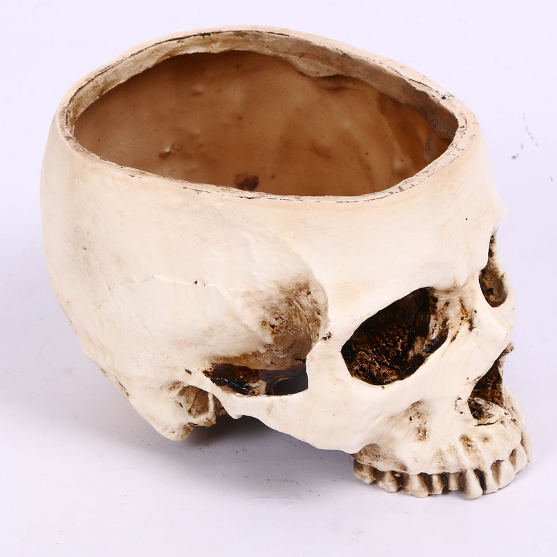 Pot de fleur multifonctionnel plaque de fruits réservoir de stockage grand crâne humain anatomie squelette anatomique du cerveau crâne explosé