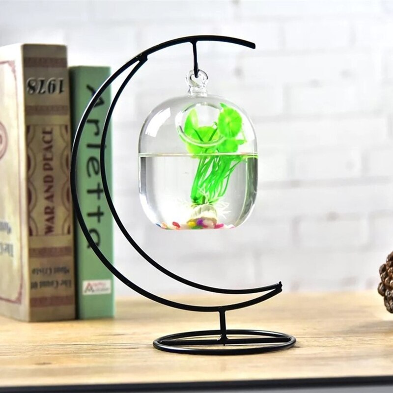 Bouteille transparente suspendue en verre pour Aquarium Pl D0AC, pour Infusion de fleurs