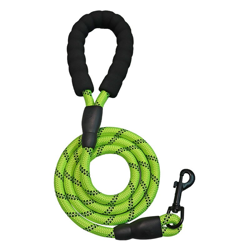 Corde de Traction en Nylon pour chien, laisse, sangle de rappel, longue ligne de plomb pour animaux de compagnie, idéale pour enseigner le Camping en arrière-cour: green