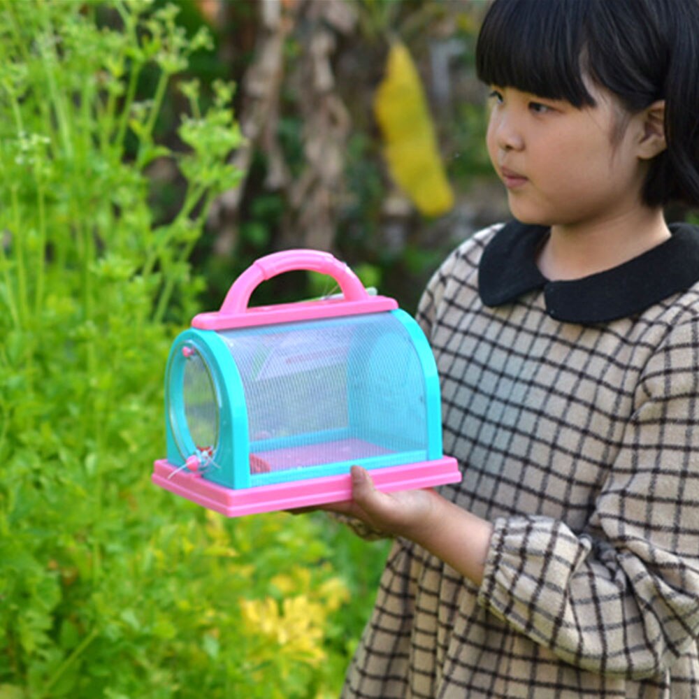Cage à insectes pour animaux de compagnie, petit étui d'observation pour enfants, Cage d'expérimentation d'alimentation pour insectes, pour vers à soie