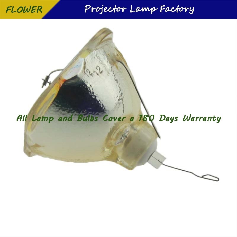 Dt00731 180 dages garanti projektor bare lampe til hitachi cp -s240/ cp -s245/ cp -x250/ cp -x255/ ed -s8240/ ed -x8250/ ed -x8255