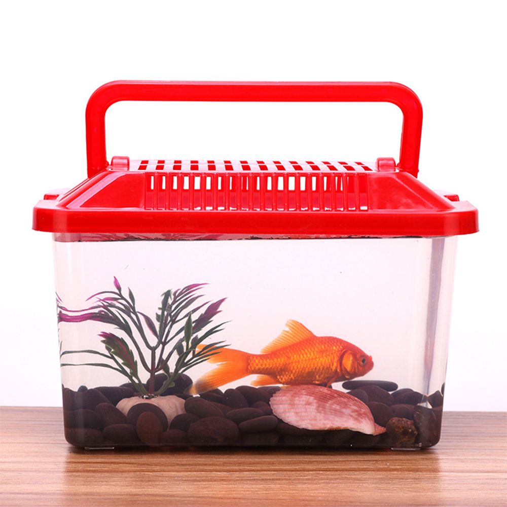 Acuario de alimentación transparente portátil, productos para mascotas, tanque de peces dorados, caja para hámster