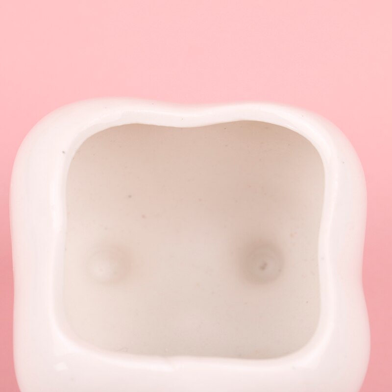 1Pc diente olla de forma Bonsai maceta de cerámica DIY pequeño balcón decoración plantas suculentas blanco macetas de suculentas