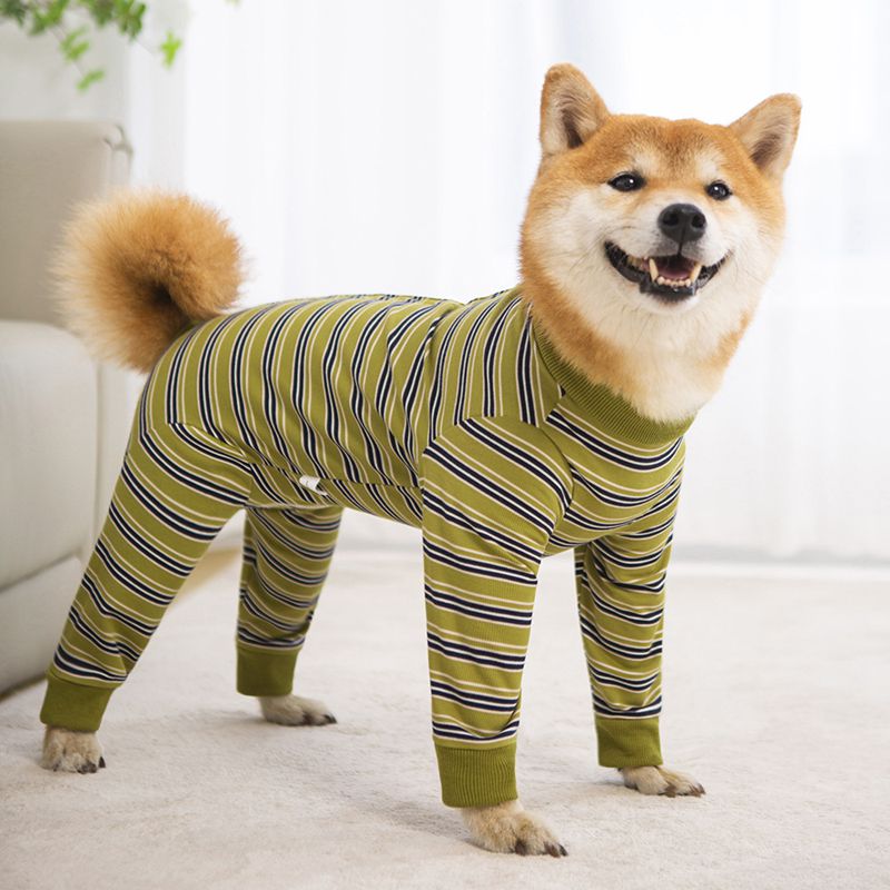 Combinaison pour chien, couverture complète, combinaison de récupération après chirurgie, body Anti-perte, pyjama clapant pour animaux de compagnie, pour petits, moyens et grands chiens