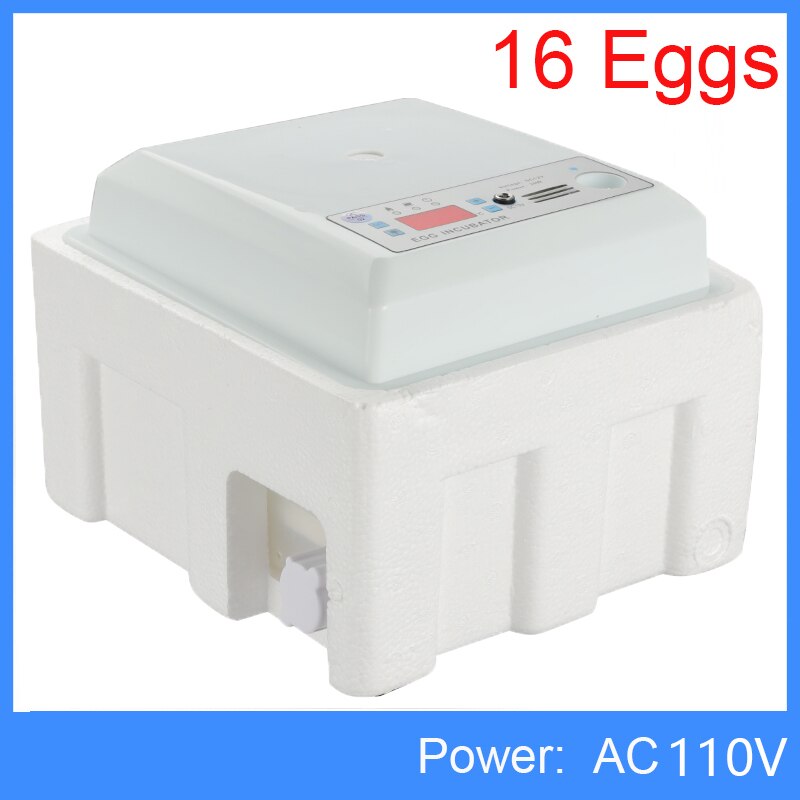 160 oeufs incubateur couveuse oiseau caille incubateur 220V 110V poussin écloserie volaille éclosoir tourneur automatique ferme incubateur outils: AC 110V